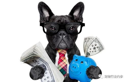 美國寵物食品市場持續增長 人類食品公司跨界寵物食品領域