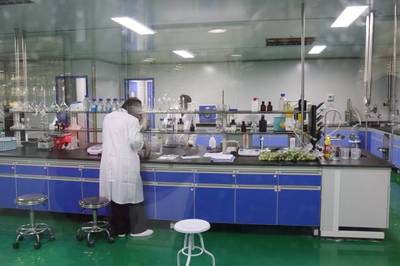 日處理300噸鮮梅、生產6款青梅酒,陸河青梅產業園正式投入使用